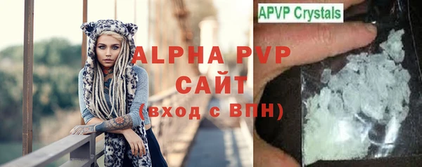 гидра Володарск