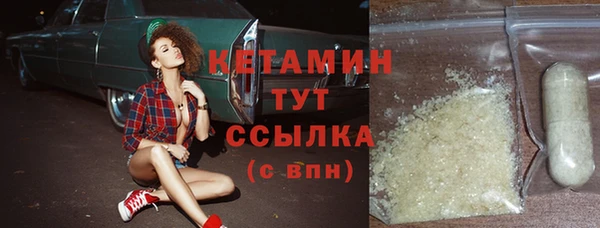 гидра Володарск