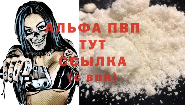 гидра Володарск