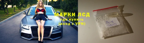 гидра Володарск