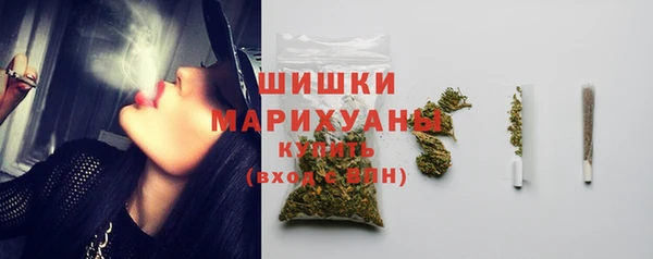 гидра Володарск