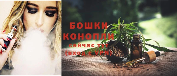 гидра Володарск