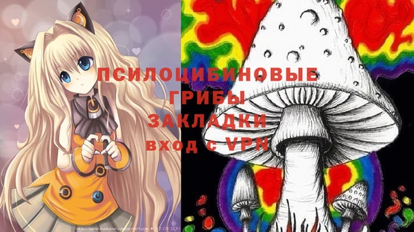мяу мяу мука Верхний Тагил
